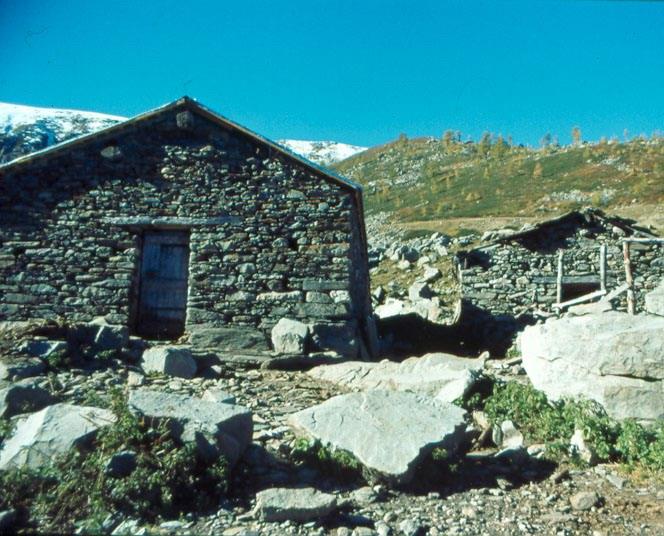 Vita nelle Borgate (1)