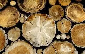 Vendita materiale legnoso