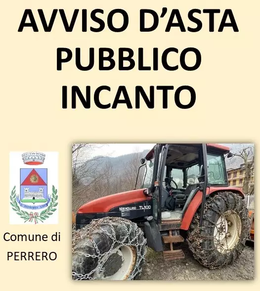 Avviso d'asta