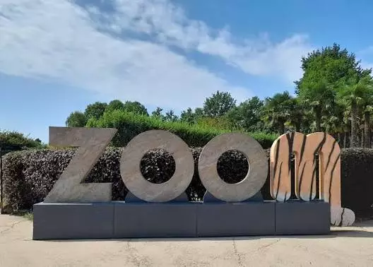 Zoom