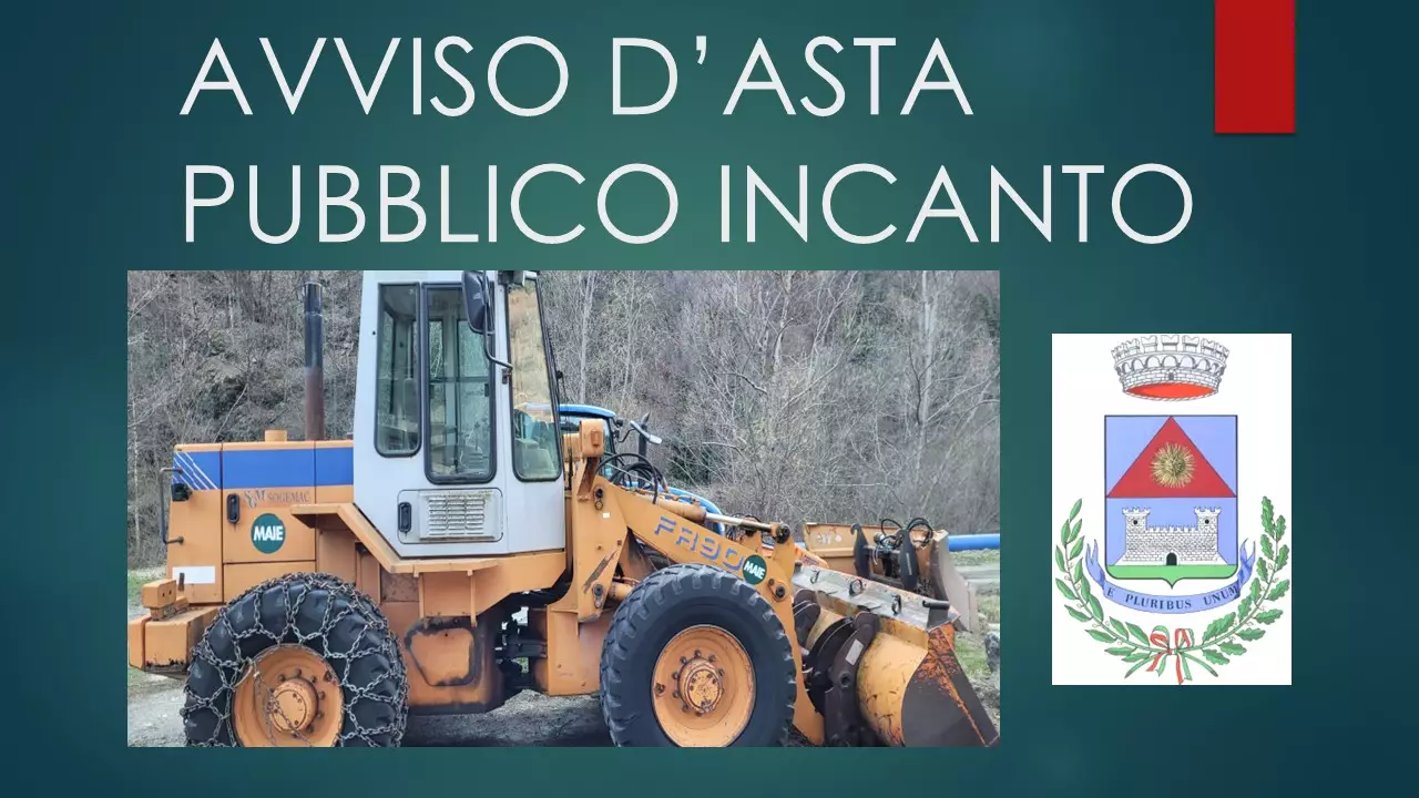 Avviso d'asta